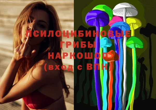 MESCALINE Алзамай