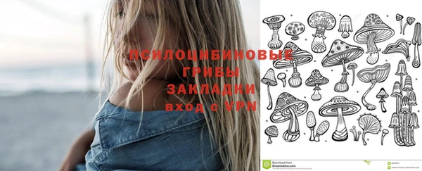 гидропоника Алексеевка