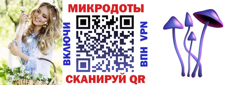 Галлюциногенные грибы GOLDEN TEACHER  mega онион  Куса 
