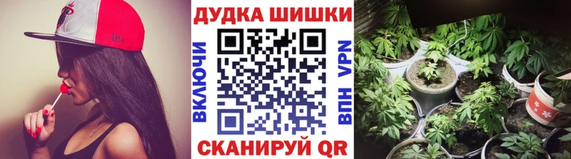 закладки Куса Шишки марихуана Ganja